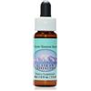 Ladies tresses ess 7,4ml alsk