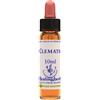 natur Clematis essenza 10 ml 1 pezzo