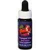 Trumpet vine ess 7,4ml calf