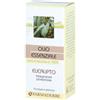 Farmaderbe olio essenziale eucalipto 10 ml