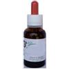 Eli kid zinco 50g