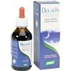 santiveri Zef12 belson plant stv