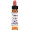 natur Cerato essenza 10 ml 1 pezzo