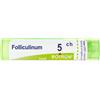 boiron Folliculinum 5ch gr