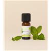 erbamea Menta piperita bio olio essenziale 10 ml