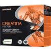 es italia srl brand ethicsport Ethicsport creatina vector 20 bustine 8 g