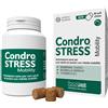 condrogen Condrostress Mobility 90 Soft Chews