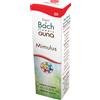 guna Mimulus gun gocce 10 ml preparazione