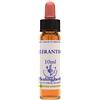 natur Scleranthus essenza 10 ml 1 pezzo