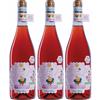 Vola Volè 3x Cerasuolo d\'Abruzzo Doc Vola Volè Orsogna Biologico Biodiversity Friend Vegan 3x75cl