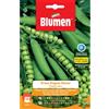 Blumen piselli nani grano rugoso rainier