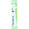 BOIRON Srl THYROIDINUM 5CH GR