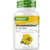 Vit4ever Erba di San Giovanni -240 capsule con 500 mg di estratto a base di 5000 mg di pura Erba di San Giovanni - Estratto naturale 10:1 - Altamente dosato - Vegano