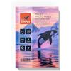 BLUE SWAN Carta Fotografica Lucida A3 per Stampanti Inkjet, 150 g/m², 50 Fogli - Rivestimento Monolato, Asciugatura Rapida, Resistente all'Acqua e ai Graffi, Alta Brillantezza dei Colori