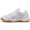 Puma Unisex Youth SOLARFLASH III JR Indoor Court Shoe, Puma White-Blue Horizon-Fizzy Apple, 28 EU