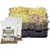 GermoglioSì STARTER KIT Germogliatore per Semi BPA Free + 2 Confezioni in OMAGGIO di Mix di Semi da 32gr. Innovativo Multifunzione Brevettato a 2 vassoi
