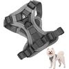 Granvoo Pettorina Cane Taglia Piccola Media Grande, Imbracatura Cane Zampe Posteriori con 1,5m Guinzaglio, Pettorina Gatto Antifuga Regolabile, Gilet Animali Traspirante Riflettente, Gilet Cuccioli Corsa (L)