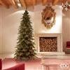 EDG_Enzo De Gasperi Albero di Natale Pino LuxuryNew con 4.000 Led H 240 Cm D 115