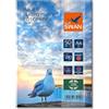 BLUE SWAN 100 fogli di carta fotografica Lucida pesante A4, 230g/mq, alta lucentezza, impermeabile, alta bianchezza, alta brillantezza dei colori, per stampanti a getto d'inchiostro