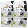 Cat&Rina BeNatural, lettiera per gatti al tofu da 10 l Agglomerante e Vegetale. Fino a 30 giorni di utilizzo. Si smaltisce nell'organico o nel wc. Sabbia gatti anti odore Carboni Attivi, 6 pezzi