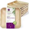 GoBeTree Piatti Foglia di Palma 25 Piatti Monouso Quadrati da 24 cm. Stoviglie in legno rustico per barbecue e feste di compleanno.