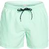 Quiksilver Everyday 15 Bermuda da bagno da Uomo