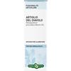 ERBA VITA ESTRATTI LIQUIDI Erba Vita Artiglio Del Diavolo Tintura Idroalcolica 50Ml