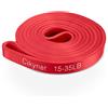 Cikyner Bande di Resistenza, Bande di Assistenza per Il Pull up Bande di Resistenza Premium Bande di Esercizio Fitness per allenamenti Stretch per Pull up, Powerlifting, Pilates, Forza e Allenamento
