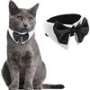 HACRAHO Collare da smoking per gatti, 1 pezzo, bianco, formale, con papillon, per cani di piccola taglia e gatti, per matrimoni, feste di compleanno