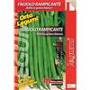 Magnani Fagiolo rampicante Bobis a grano bianco 200 g