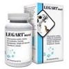 AURORA BIOFARMA LEGART MAXI 60 COMPRESSE DA 2 GR