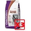 MONGE Gemon all breed ADULT AGNELLO E RISO KG.15 X3PZ