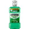 Listerine Collutorio Difesa Denti E Gengive Menta Fresca - 600 ml
