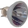 OPTOMA SP.7AZ01GC01 BL-FP240G LAMPADA OSRAM SENZA SUPPORTO (SOLO BULBO)