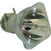 BENQ 5J.J5R05.001 LAMPADA PHILIPS SENZA SUPPORTO (SOLO BULBO)