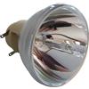 PANASONIC ET-LAC300 LAMPADA OSRAM SENZA SUPPORTO (SOLO BULBO)