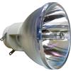 Optoma SP.8SH01GC01, BL-FP350B LAMPADA OSRAM SENZA SUPPORTO (SOLO BULBO)