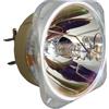 Optoma FX.PM484-2401 BL-FU310C LAMPADA PHILIPS SENZA SUPPORTO (SOLO BULBO)