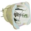 OPTOMA BL-FN465A, SP.74M01GC01 LAMPADA PHILIPS SENZA SUPPORTO (SOLO BULBO)