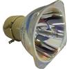 ACER MC.JMS11.007, MC.JMS11.005 LAMPADA PHILIPS SENZA SUPPORTO (SOLO BULBO)