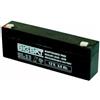 FAAM NAI2.2-12 -FAAM -BATTERIA AL PIOMBO 2,2Ah 12V FAAM