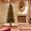 EDG Albero Di Natale Pino Luxurynew 210 x 110 Cm Con 3000 Led - REGISTRATI! SCOPRI ALTRE PROMO