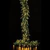 EDG Festone Pino Luxury 270 cm con 170 LED Integrati EDG Natale