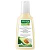 RAUSCH AG KREUZLINGEN Rausch Shampoo Colorprotettivo Avocado 200ml Rausch Ag Kreuzlingen