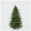 EDG Albero Di Natale Pino Luxury Con 5000 Led 240x152 Cm - REGISTRATI! SCOPRI ALTRE PROMO