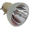VIEWSONIC RLC-119 LAMPADA OSRAM SENZA SUPPORTO (SOLO BULBO)
