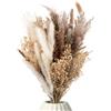 Mia Milano Composizione di fiori essiccati con autentica erba delle Pampas ed eucalipto, decorazione per il soggiorno