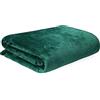 HOMLA Rote Coperta in Pile Soffice e Calda - Per Divano e Letto - Coperta Coccolosa - Coperta da Soggiorno - Facile da Pulire - 150 x 200 cm - Verde