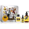 Proraso Set Beard Routine