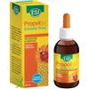 Esi varie Esi Propolaid Estratto Puro 50 ml